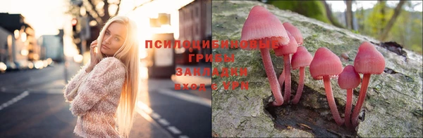дмт Дмитриев