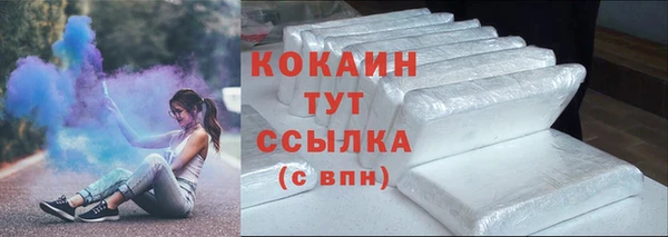 дмт Дмитриев