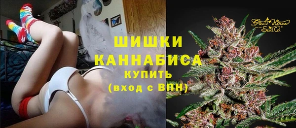 тгк Дмитров