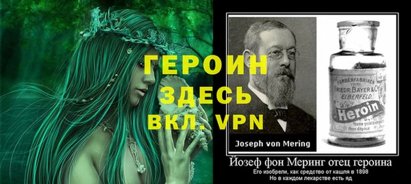 дмт Дмитриев