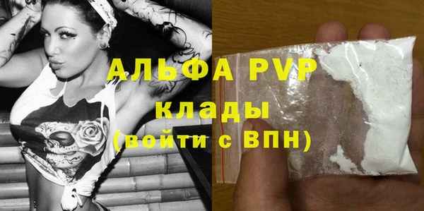 дмт Дмитриев