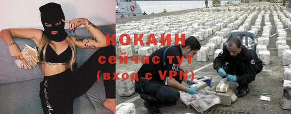 кокс Дмитровск