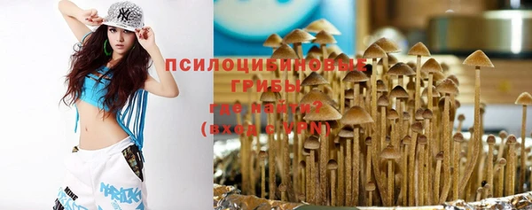 тгк Дмитров