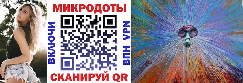 Купить закладки  Злынка  Псилоцибиновые грибы мицелий 